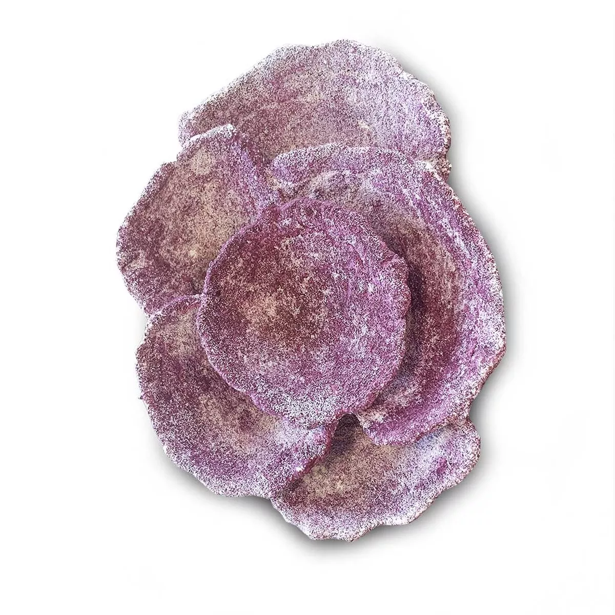 damaged-real-reef-turbinaria-cup-plate-coral-rock-1-pc-real-reef (DAMAGED) Real Reef Turbinaria Cup Plate Coral Rock (1 pc) – Real Reef