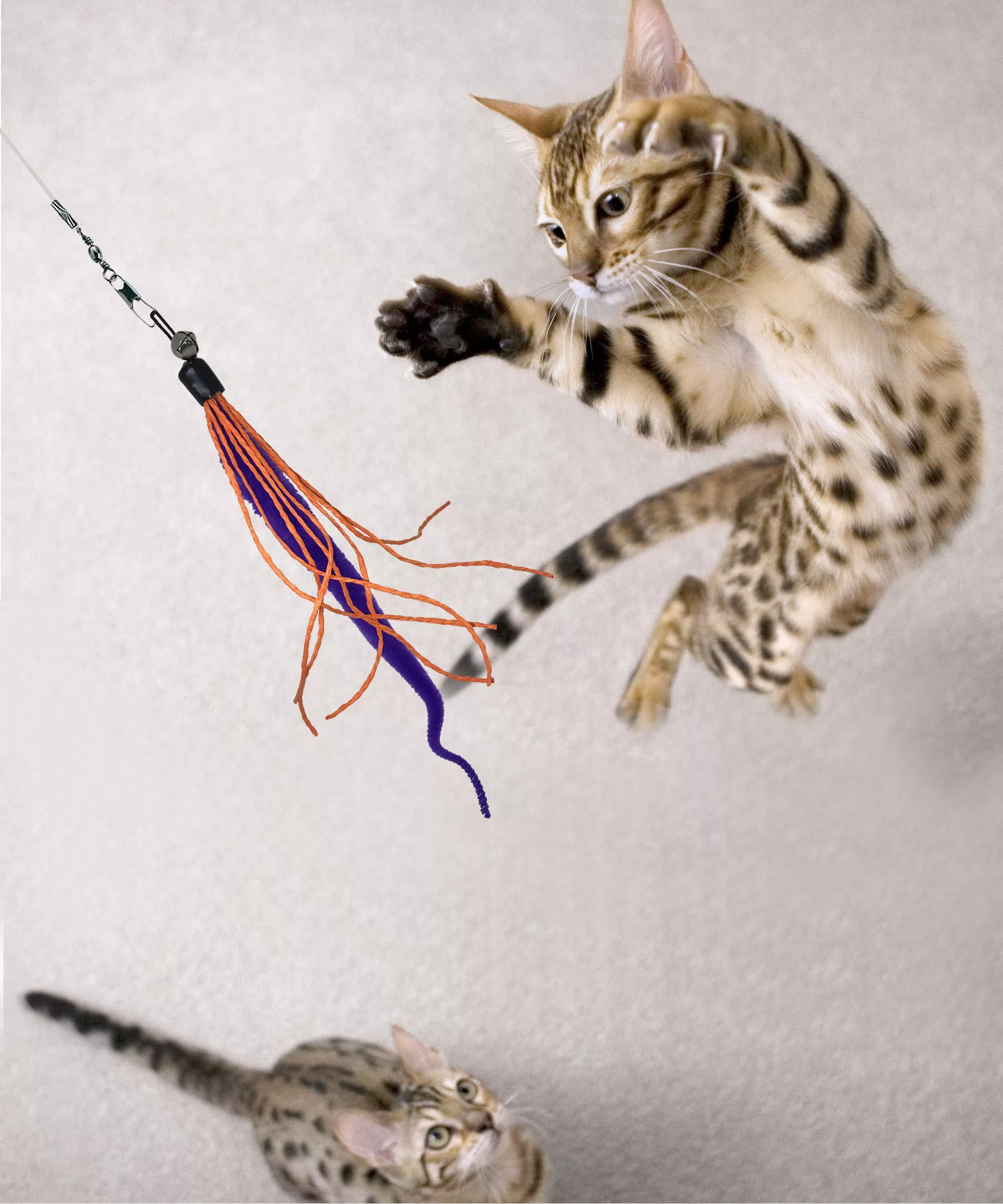 dezi-roo-wiggly-wand-cat-toy Dezi & Roo Wiggly Wand Cat Toy