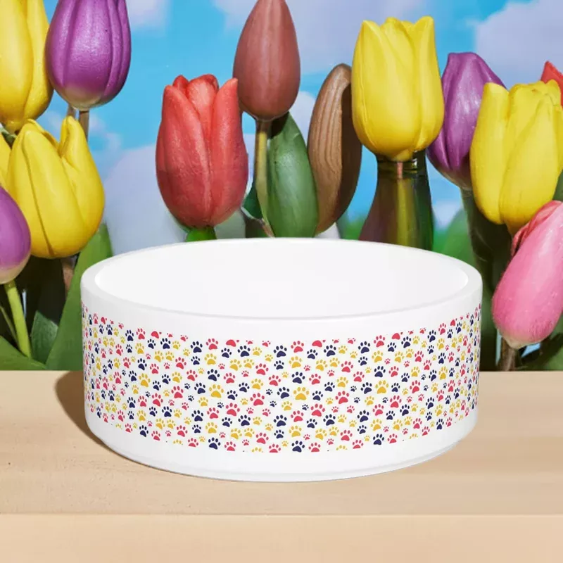 pet-bowl-colorful-paw-print-design Pet Bowl - Colorful Paw Print Design