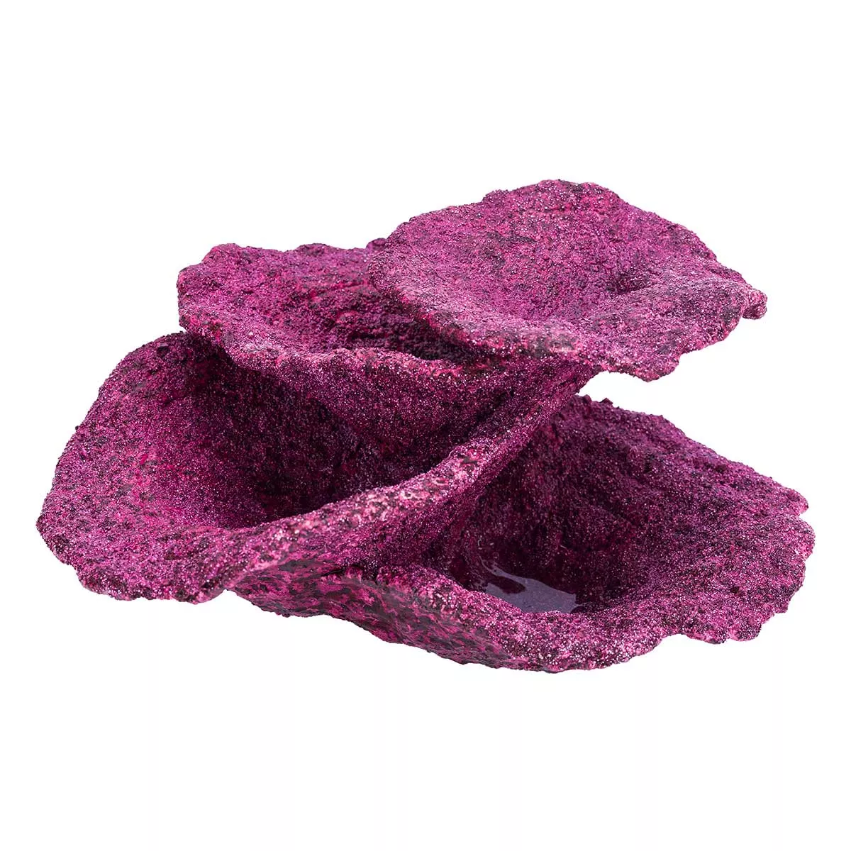 small-mini-real-reef-turbinaria-cup-plate-coral-rock-1-piece-real-reef (SMALL) Mini Real Reef Turbinaria Cup Plate Coral Rock (1 piece) – Real Reef