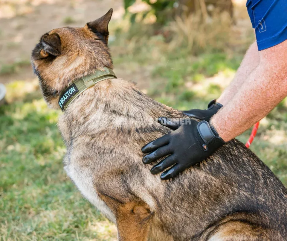 Ultimate Pet Grooming Glove - Deshedding & Massage Brush for Dogs & Cats