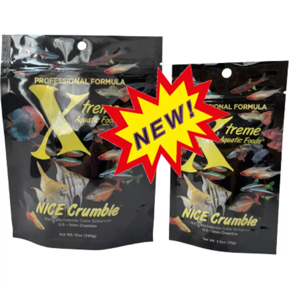 xtreme-nice-crumbles-0-5-mm-slow-sinking Xtreme Nice Crumbles 0.5 mm Slow Sinking