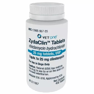ZydaClin for Dogs & Cats - Tablets (400 count) - [Antibiotic]